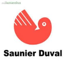Saunier Duval Valencia